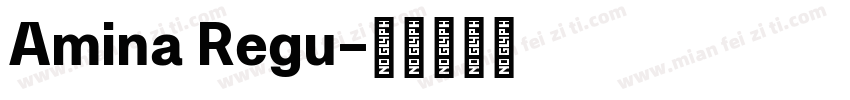 Amina Regu字体转换